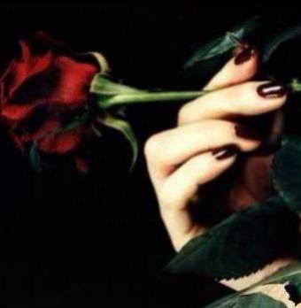 l'amour