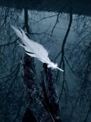 plume