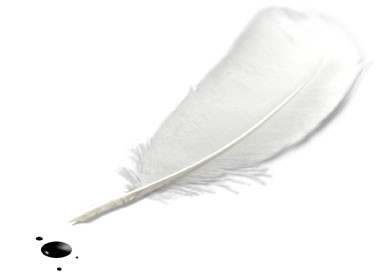 douce plume