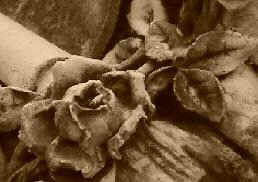 ô melancolie