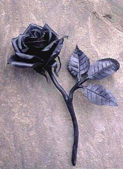 Ma rose