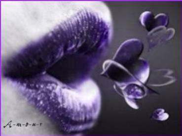 Oo Je t'aime Oo