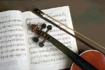 Violon