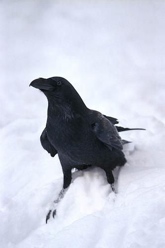 Sur toi